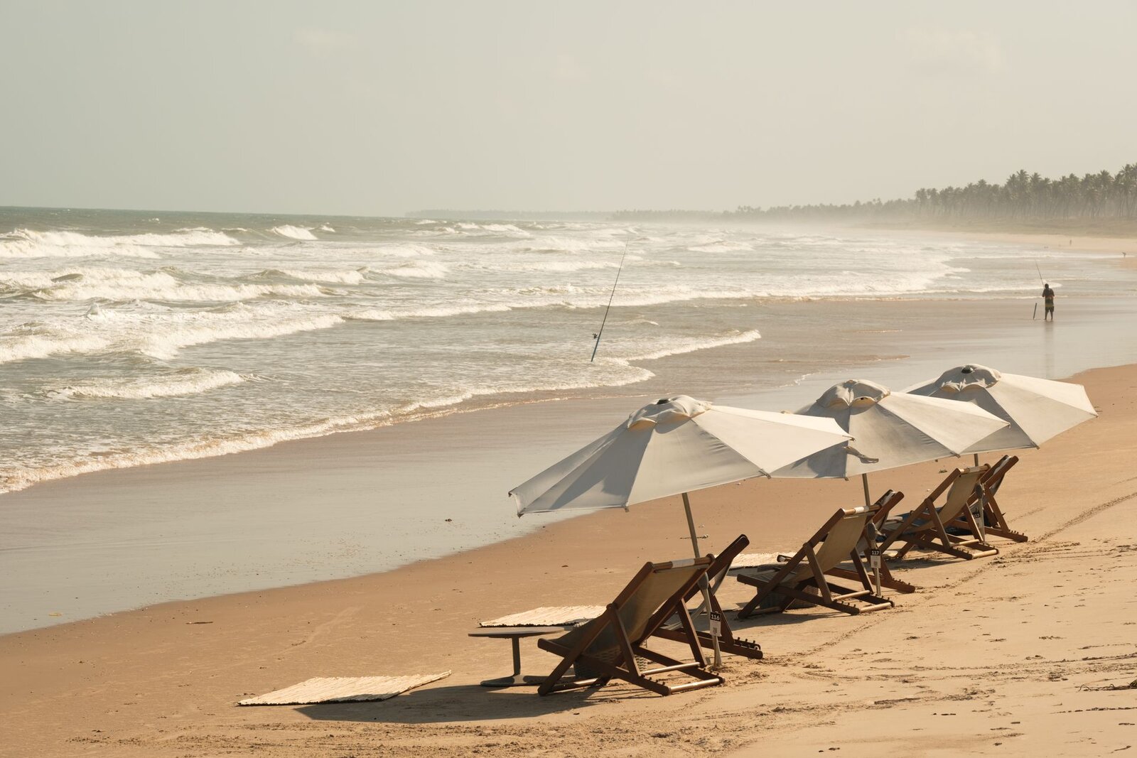 Praia · espreguiçadeiras e guarda-sóis