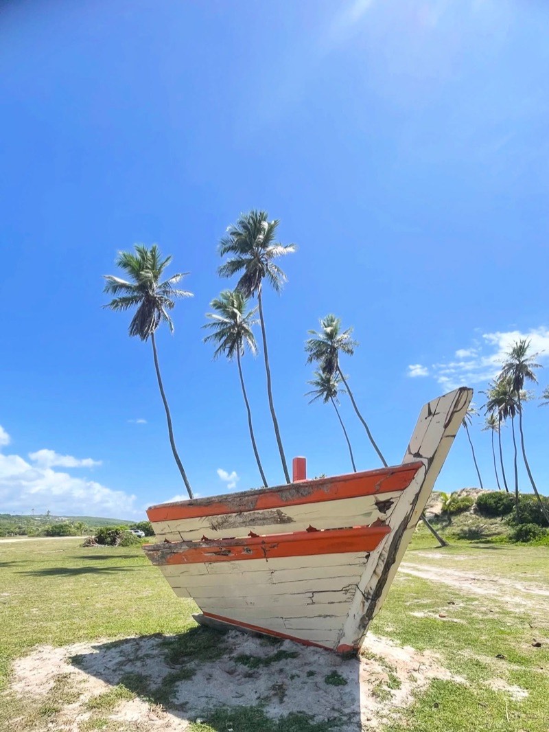 Casco de barco de pesca artesanal branco e laranja, em descanso entre coqueiros sob céu azul.