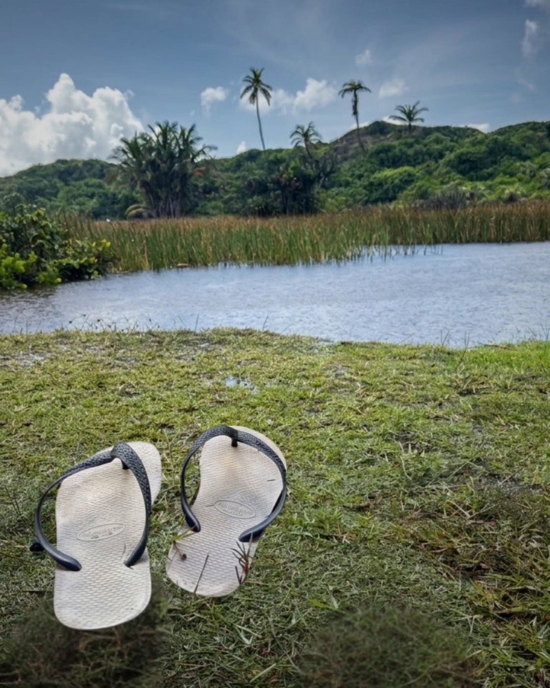 Lagoa de água doce com vegetação aquática, coqueiros e morros vegetados ao fundo.